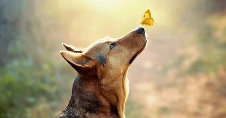 Navigating Grief: A Guide to Supporting Those Who Mourn